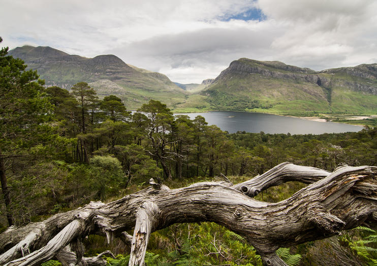 Beinn Eighe National Nature Reserve
