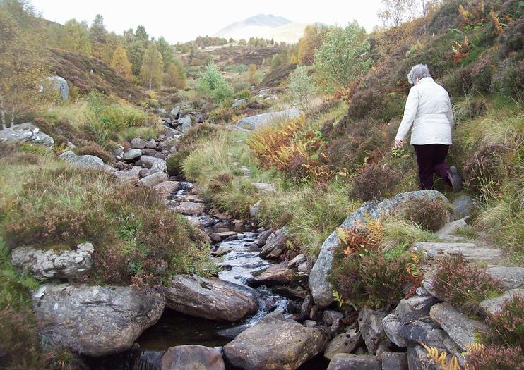Ben Lawers National Nature Reserve