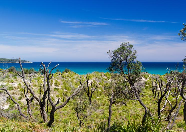 Jervis Bay National Park