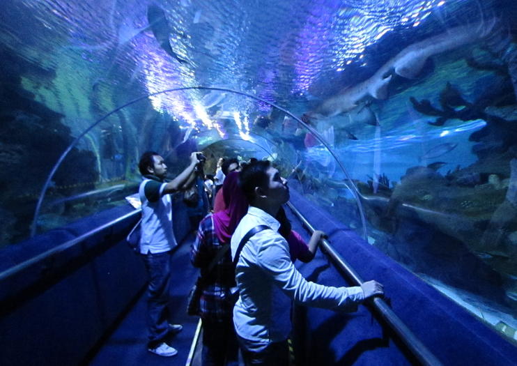 The 10 Best Aquaria KLCC Tours & Tickets 2019  Kuala Lumpur  Viator