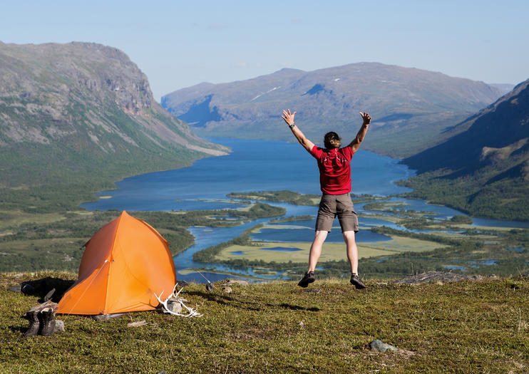 How to Spot Wildlife in Sweden