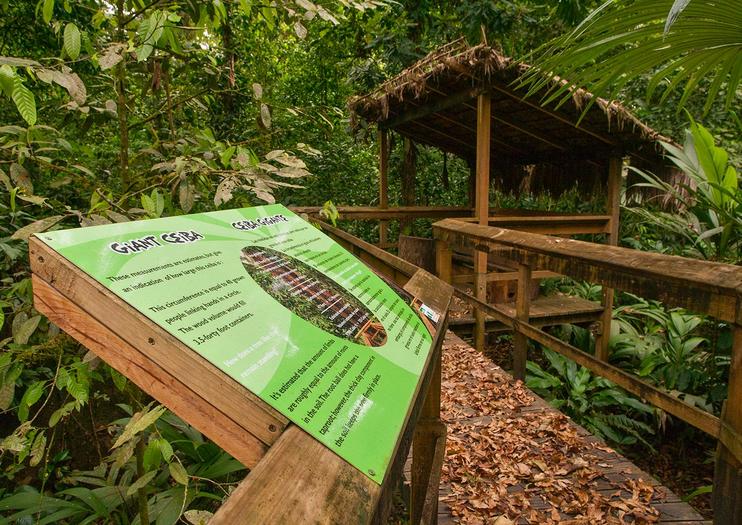 Réserve de la forêt tropicale et parc aventure de Cinco Ceibas