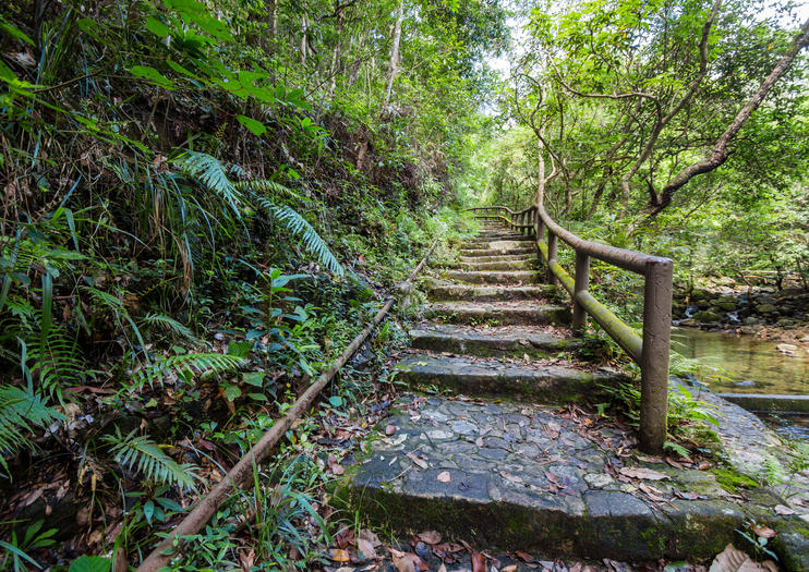 Tai Po Kau Nature Reserve