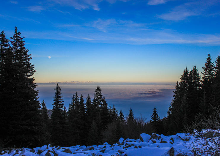 Vitosha Mountain