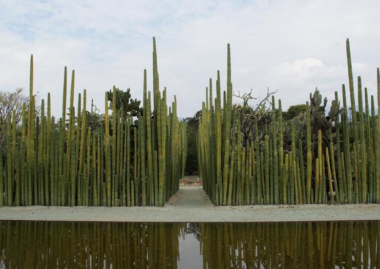 Oaxaca Ethnobotanical Garden (Jardín Etnobotánico de Oaxaca)