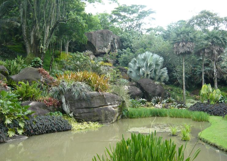 Roberto Burle Marx Site (Sítio Roberto Burle Marx)