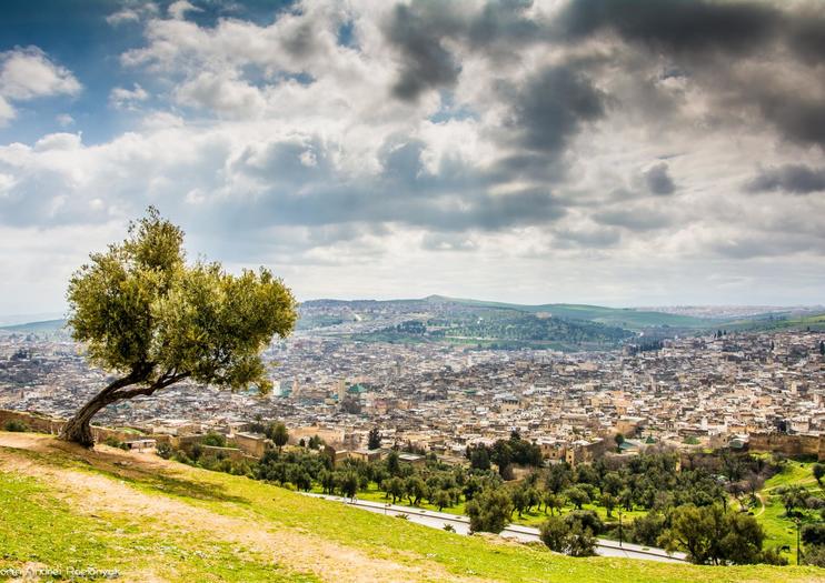 How to Spend 3 Days in Fez