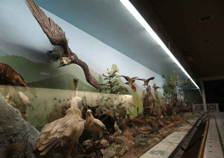 Goulandris Natural History Museum