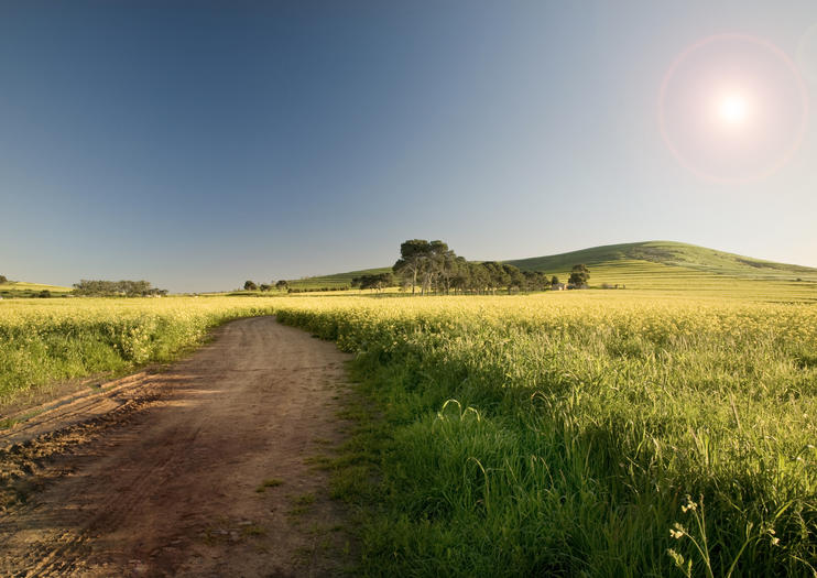 Swartland Wine Route