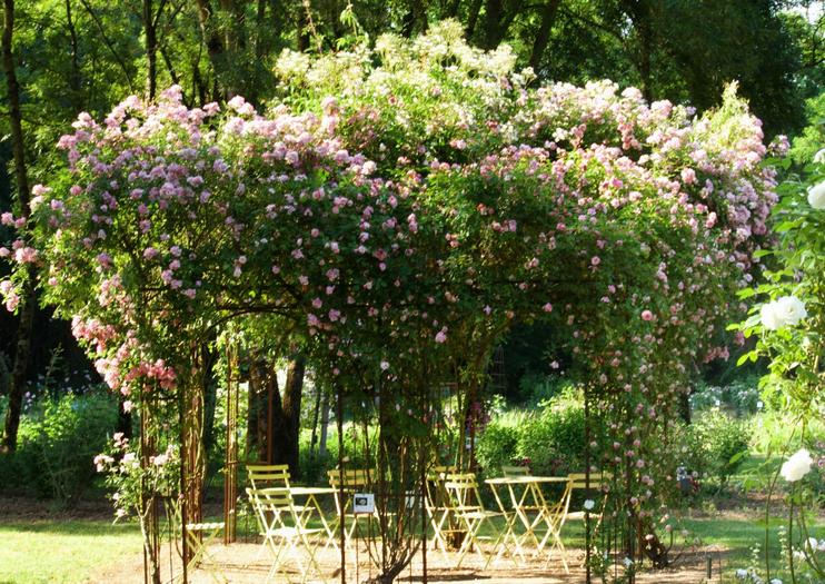 Les Chemins de la Rose