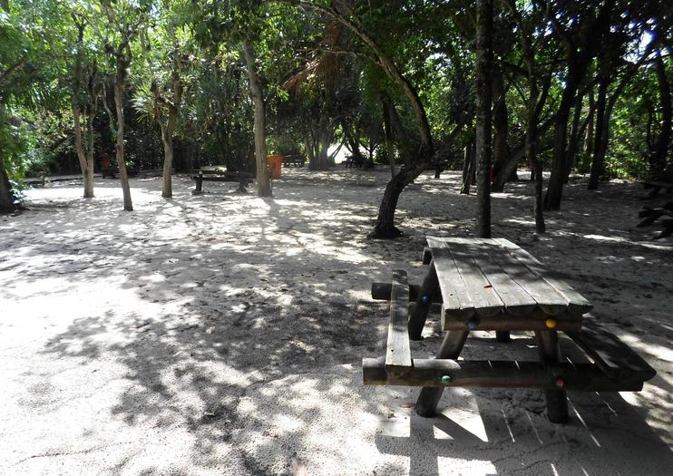 Marapendi Natural Reserve (Parque Natural Municipal de Marapendi)