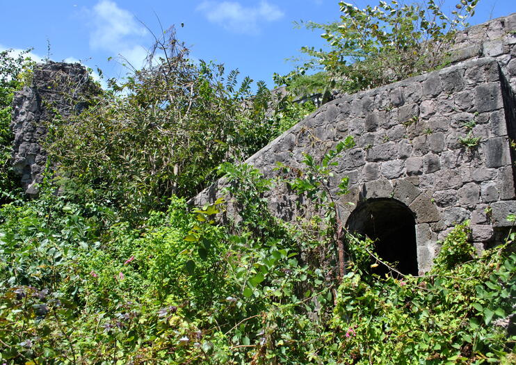 Eden Brown Estate