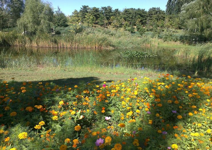 Chaoyang Park