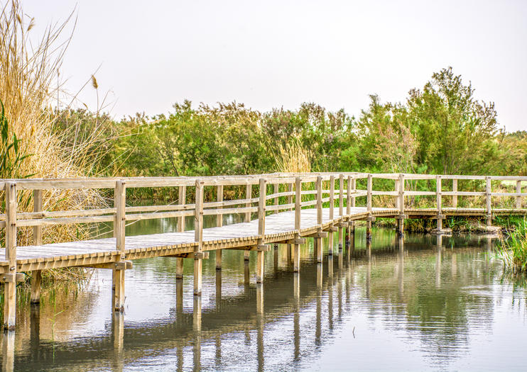 Azraq Wetland Reserve