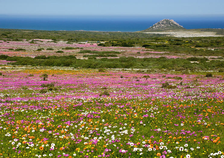 West Coast National Park