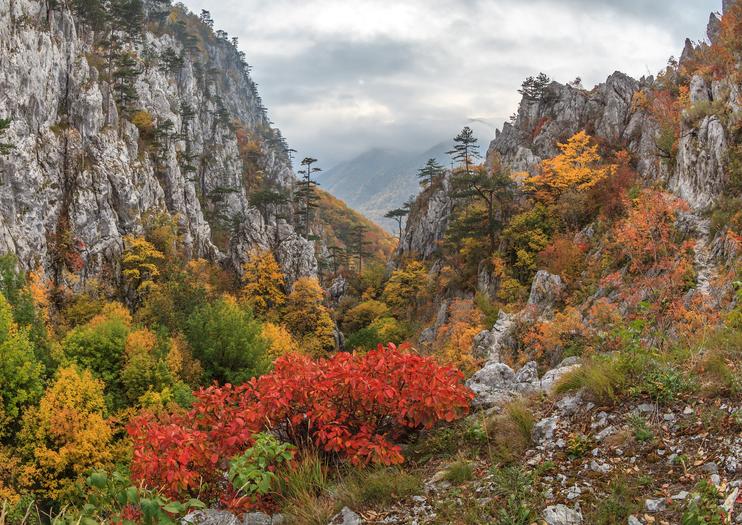 Domogled-Valea Cernei National Park