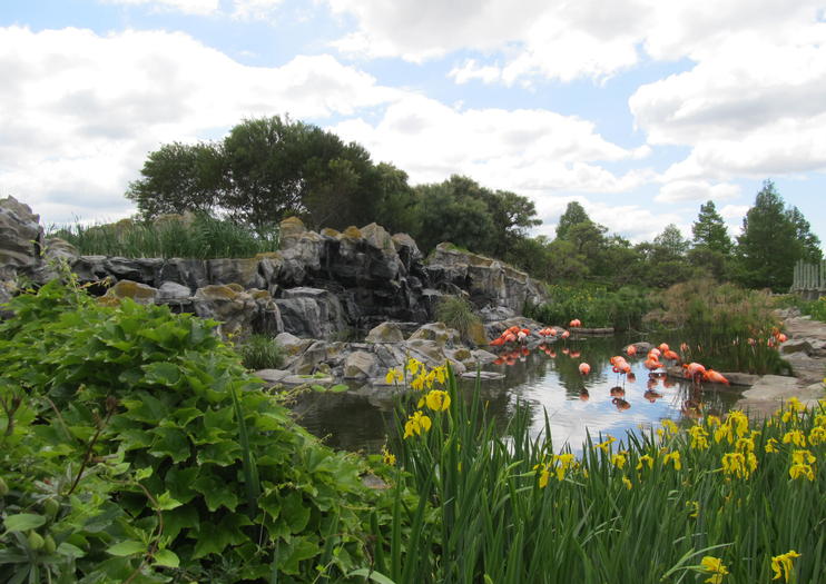 Temaiken Biopark