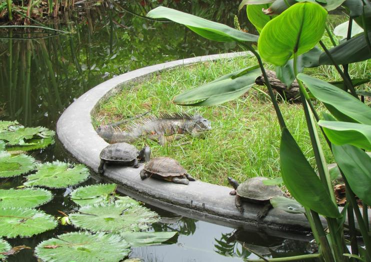 La Laguna Botanical Garden