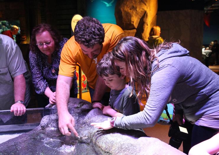 SEA LIFE® Kansas City Aquarium