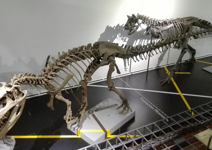 Museum of Natural Sciences