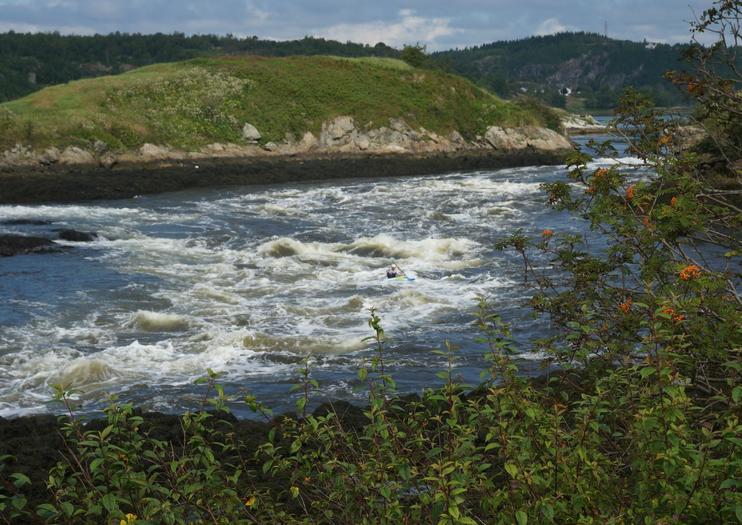 Reversing Falls
