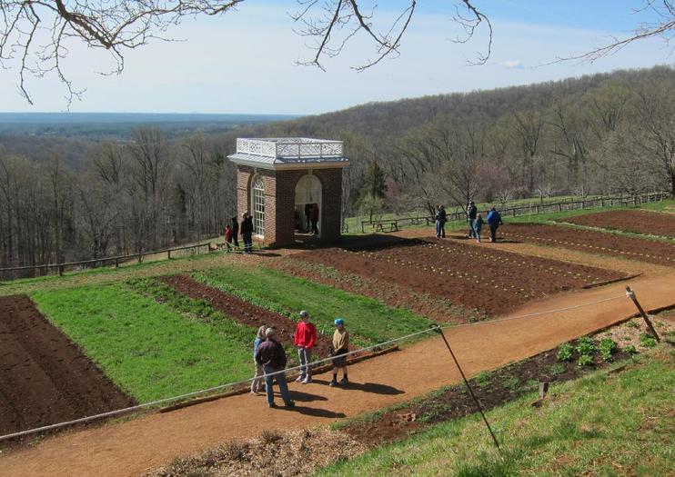 Mulberry Row