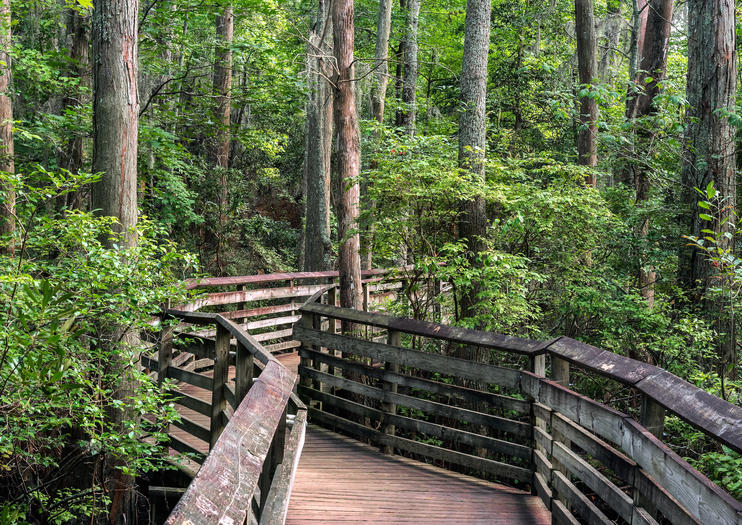 The 5 Best First Landing State Park Tours And Tickets 2020 Virginia