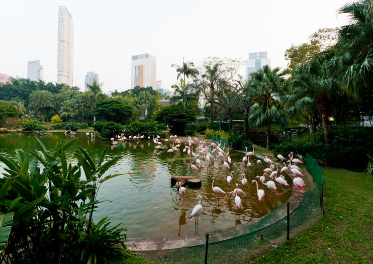Kowloon Park