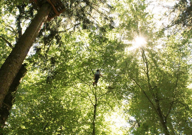 Adventure Park Interlaken (Seilpark Interlaken)