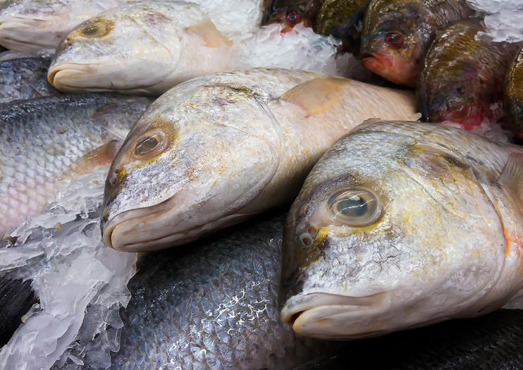 Auckland Fish Market