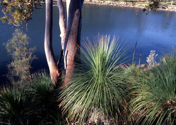 Garigal National Park