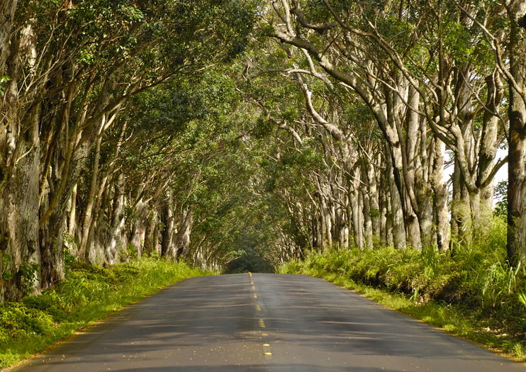 Old Koloa Town