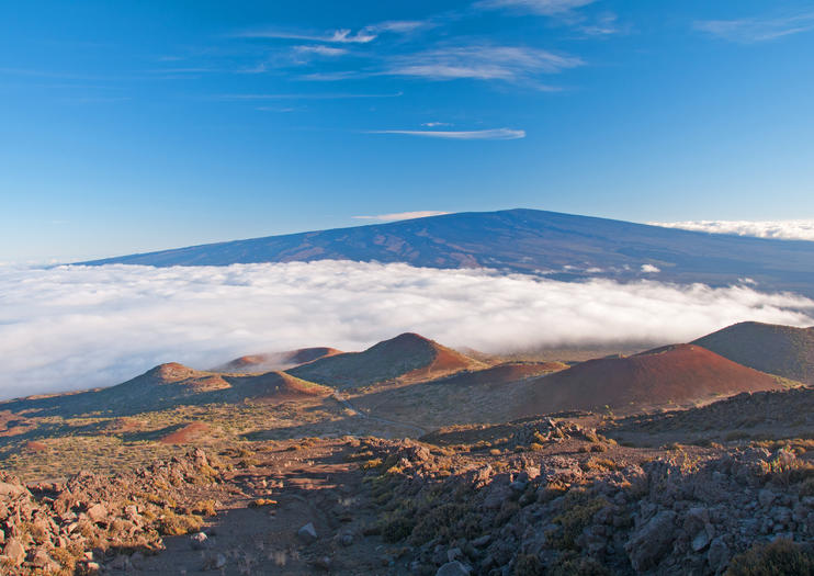 Mauna Loa Cabin - broodbox