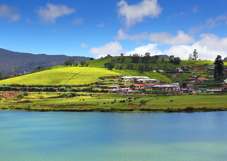 gregory park nuwara eliya