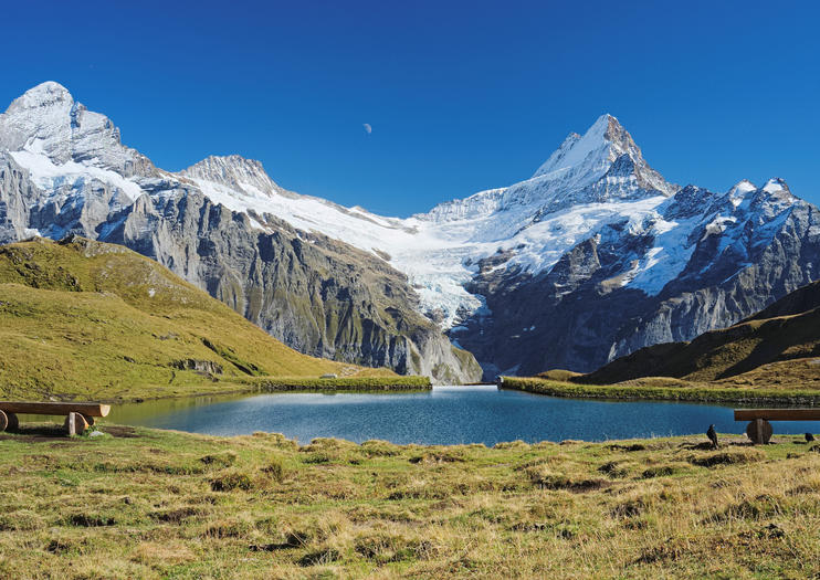 The 5 Best Mönch Peak Tours & Tickets 2019 - Swiss Alps | Viator