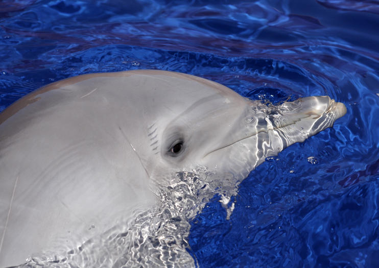 Marineland Mallorca
