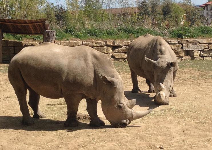 Chessington World of Adventures Resort