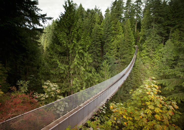 The 10 Best Capilano Suspension Bridge Park Tours Tickets