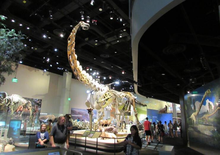 Perot Museum of Nature and Science