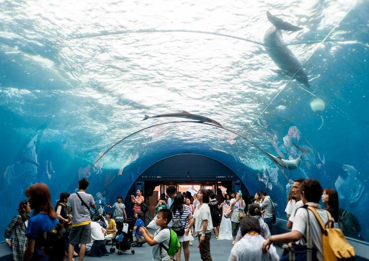 Yokohama Hakkeijima Sea Paradise