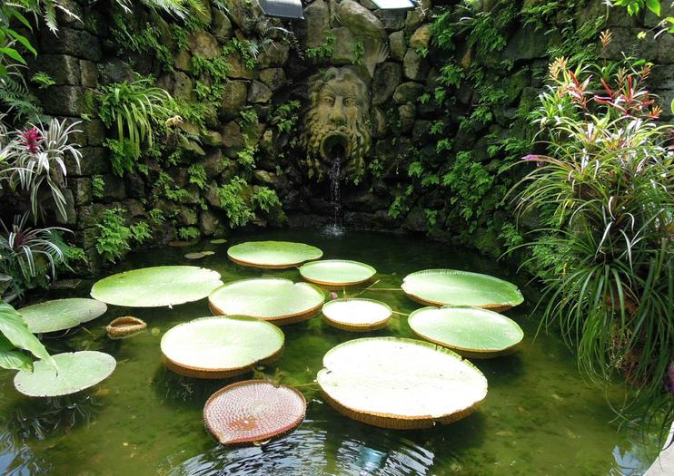 La Mortella Gardens (Giardini La Mortella)