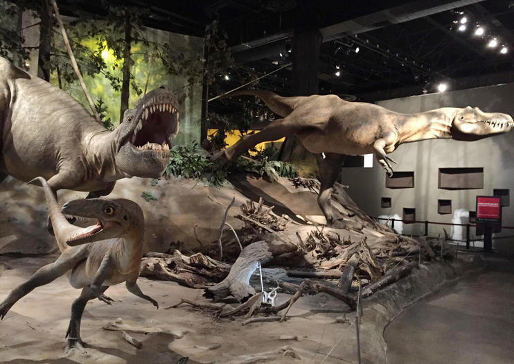 the royal tyrrell museum virtual tour