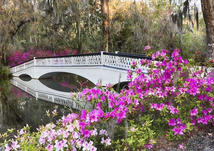 garden tours in charleston sc