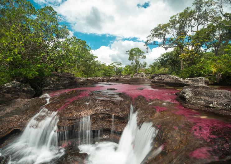 Caño Cristales