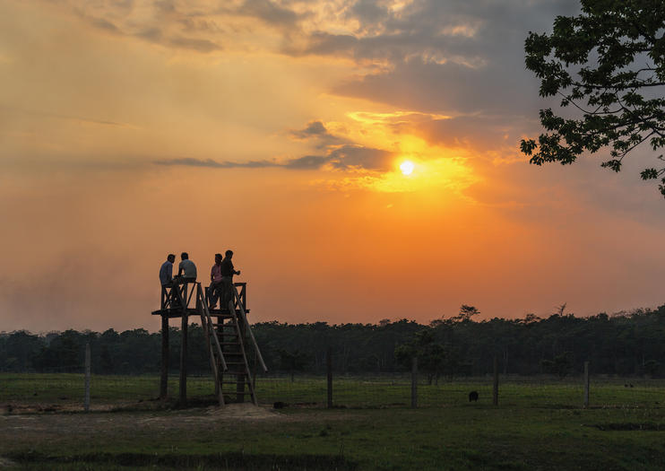 Sauraha