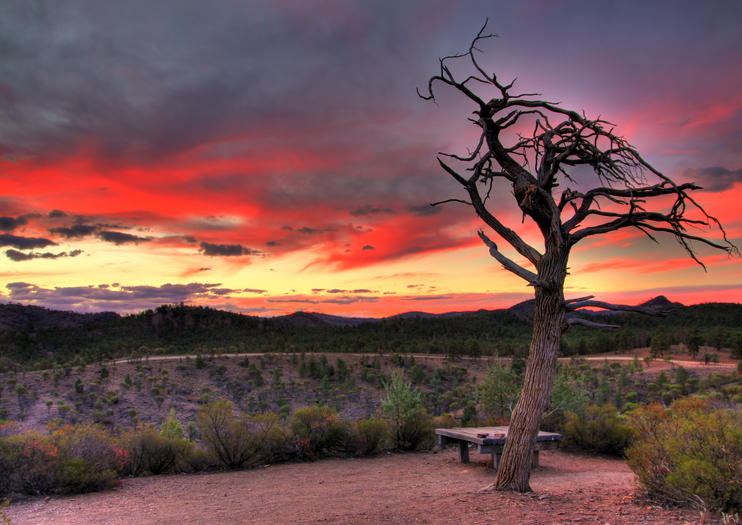 Ikara-Flinders Ranges National Park