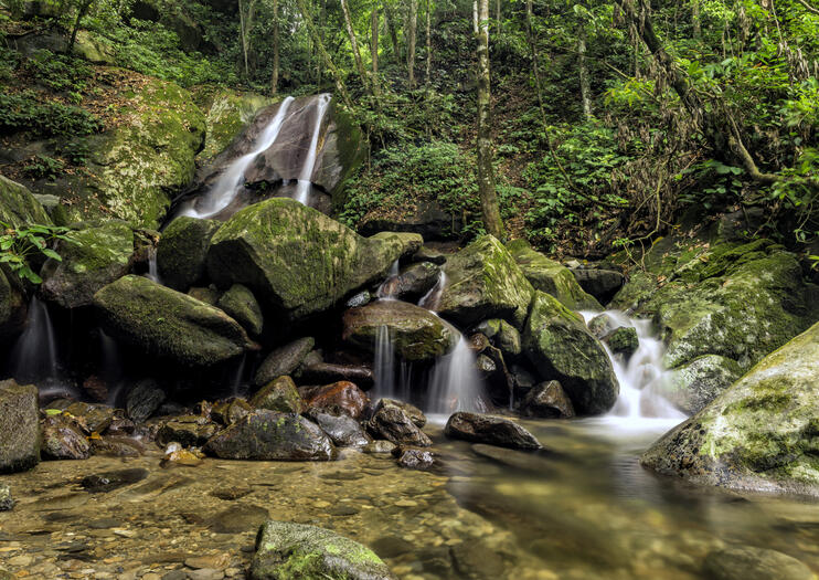 Poring Hot Spring & Nature Reserve (Poring Hot Springs)