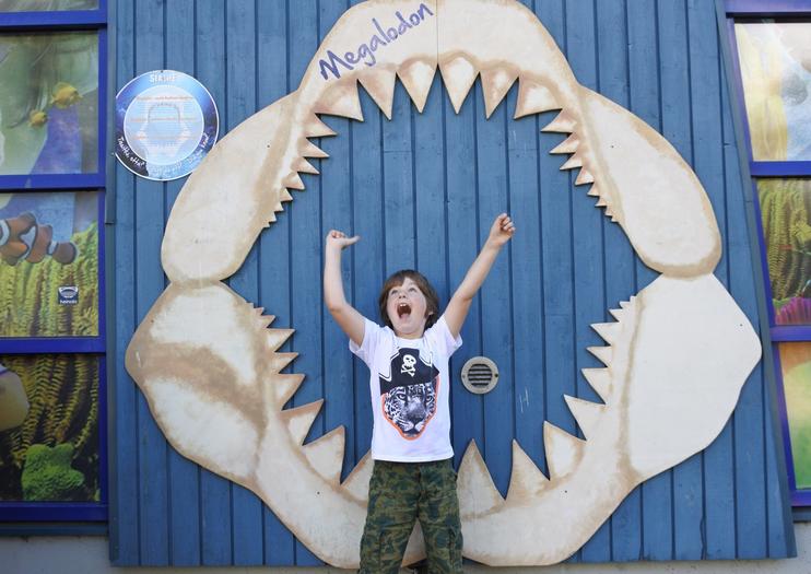 SEA LIFE® Helsinki