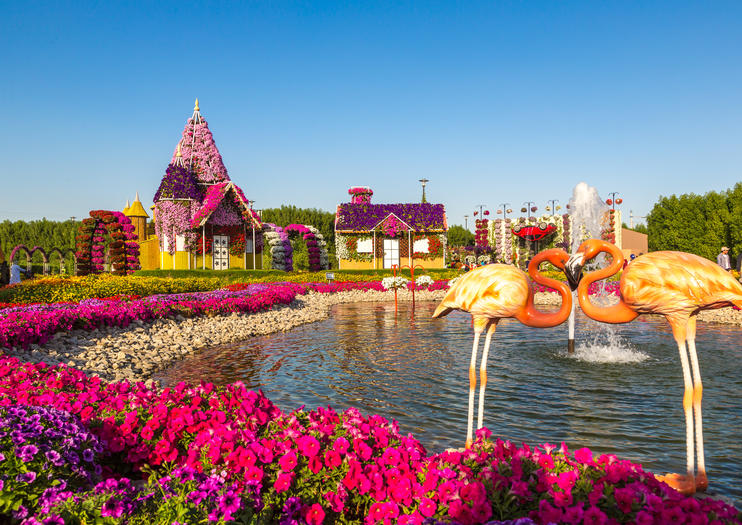 The 10 Best Dubai Miracle Garden Tours & Tickets 2021 | Viator