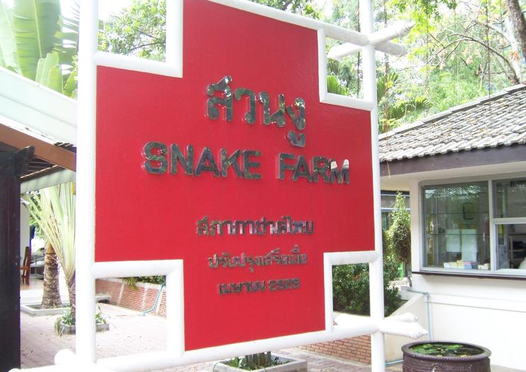 Snake Farm (Queen Saovabha Memorial Institute)